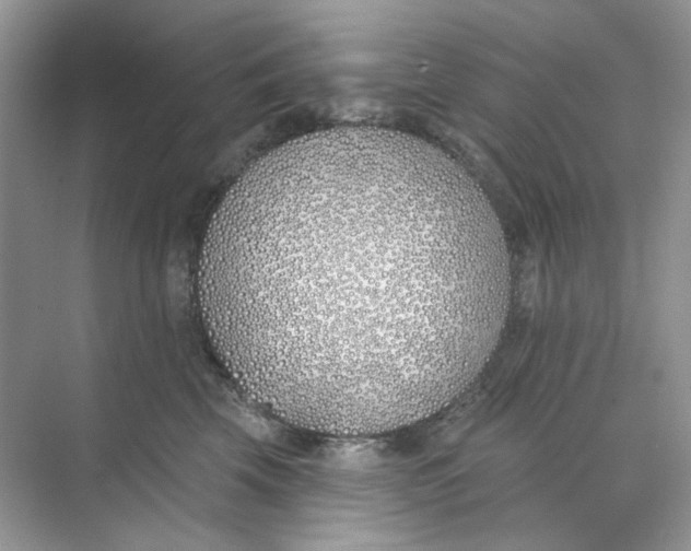 X0000073870569200608312055