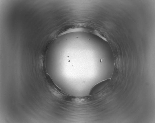 X0000073870570200608312055