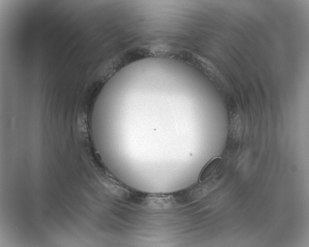 X0000073870571200608312055