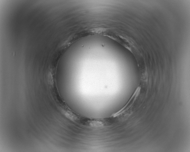 X0000073870572200608312055