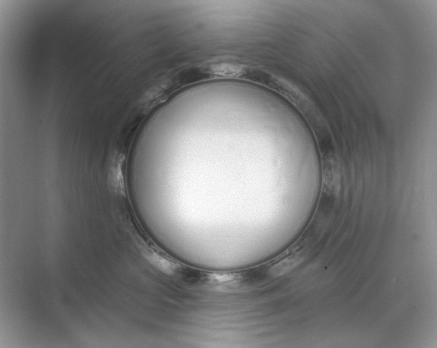 X0000073870573200608312055