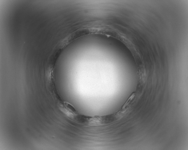 X0000073870574200608312055