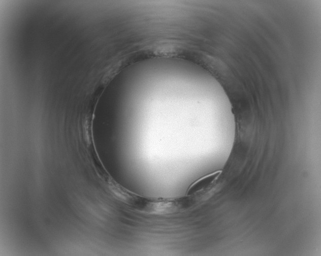 X0000073870575200608312056