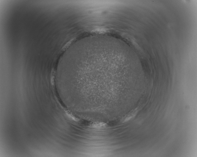 X0000073870576200608312056