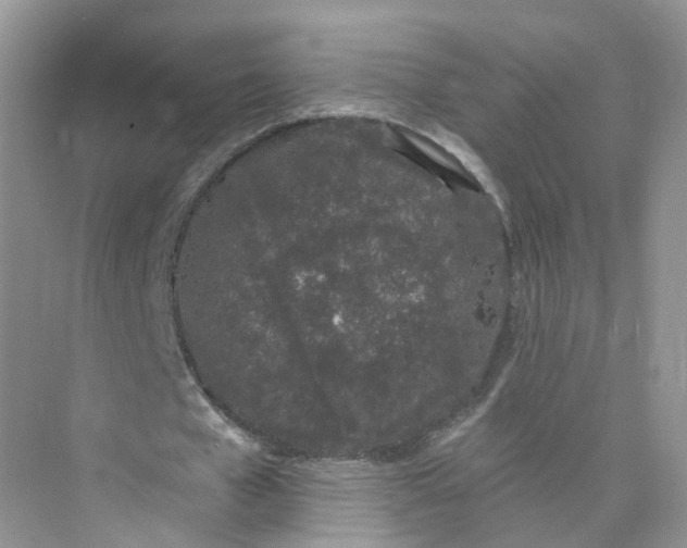 X0000073870577200608312055