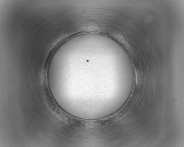 X0000073870579200608312055