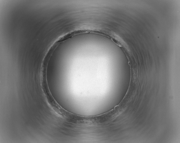 X0000073870580200608312055