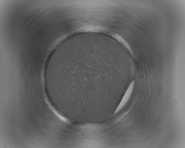 X0000073870581200608312055