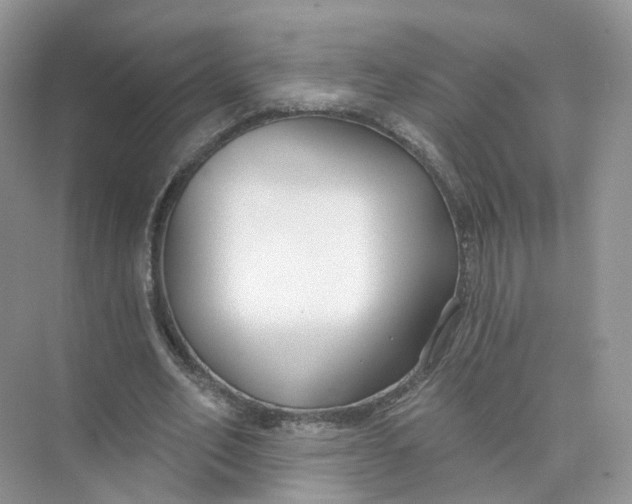 X0000073870582200608312055