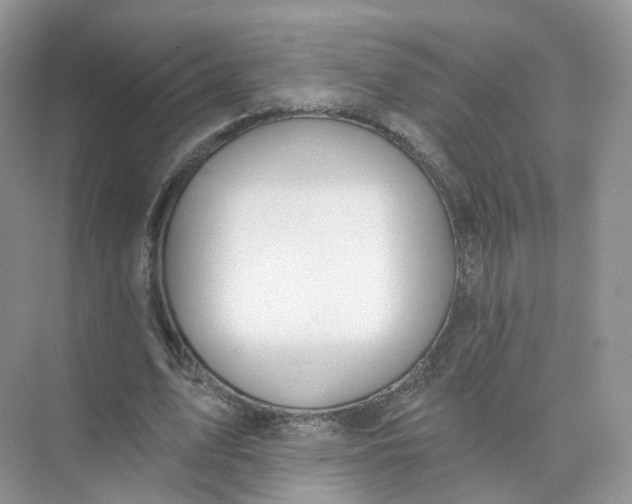 X0000073870583200608312055