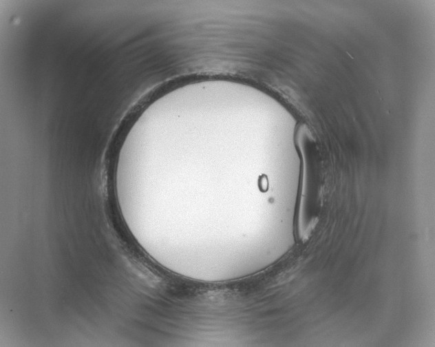 X0000073870584200608312055