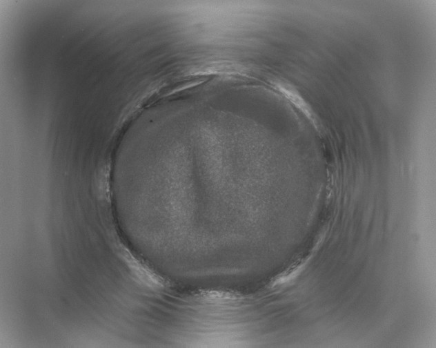 X0000073870585200608312055