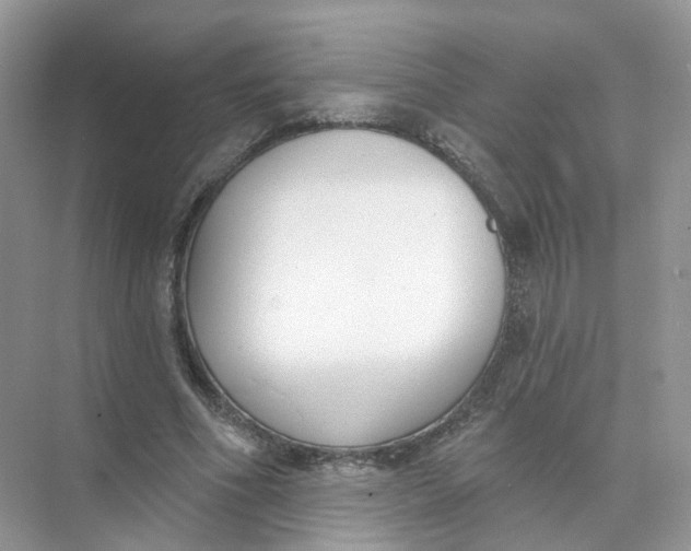 X0000073870586200608312055