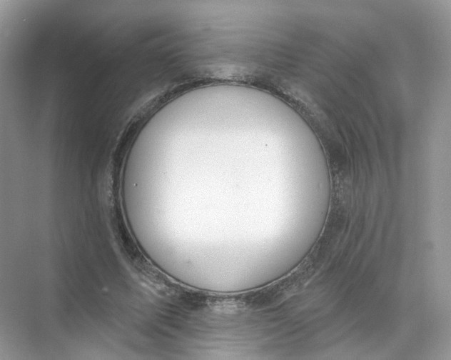 X0000073870587200608312055