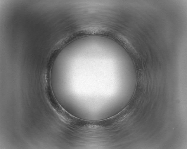 X0000073870590200608312055