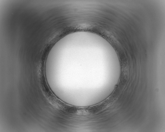 X0000073870591200608312054