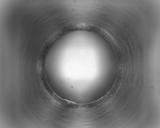 X0000073870593200608312054