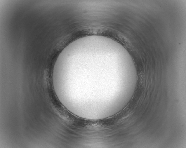 X0000073870594200608312054