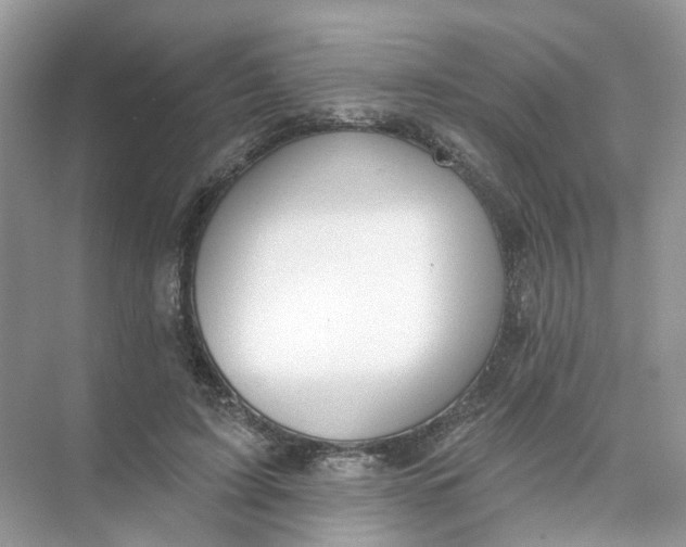 X0000073870595200608312054