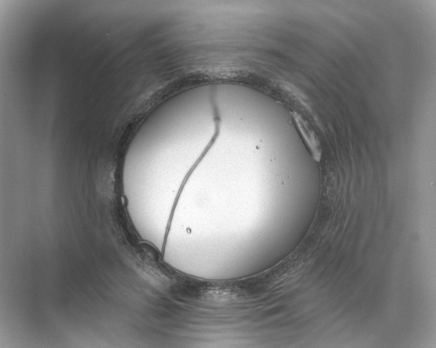 X0000073870596200608312054