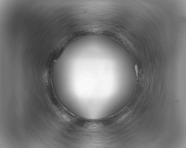 X0000073870597200608312054