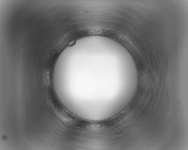 X0000073870598200608312054