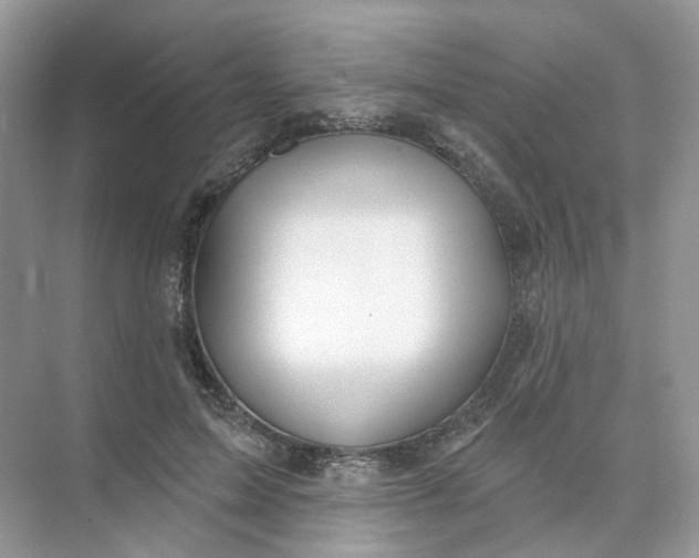 X0000073870599200608312054