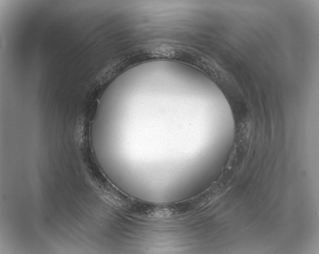 X0000073870600200608312054