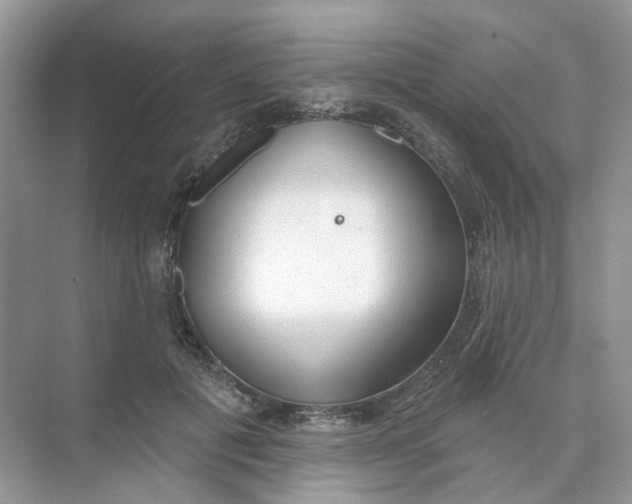 X0000073870601200608312054