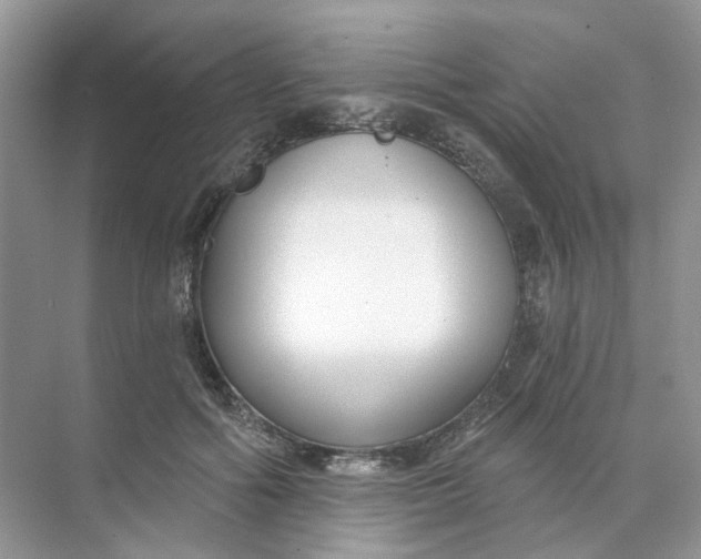 X0000073870602200608312054