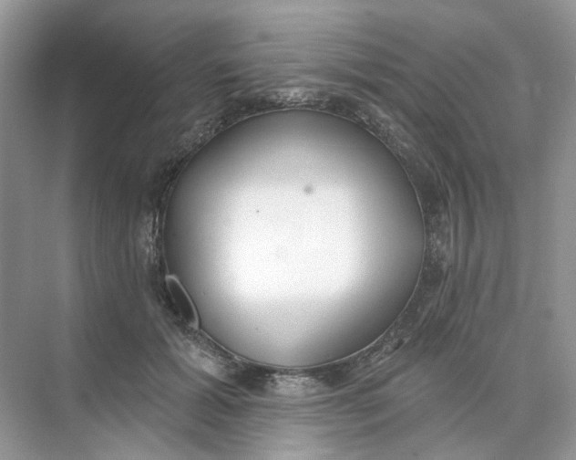 X0000073870605200608312054