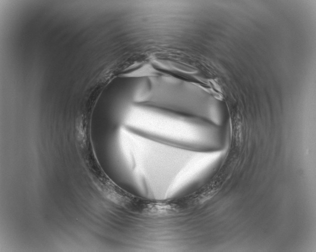 X0000073870607200608312054