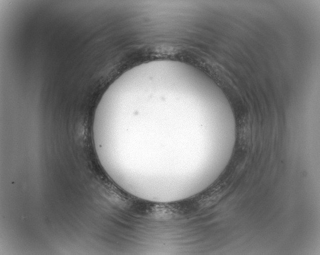 X0000073870608200608312054