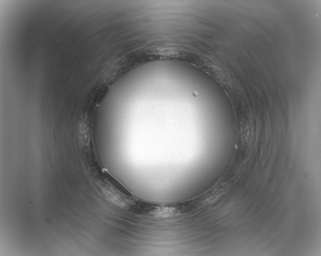 X0000073870609200608312054