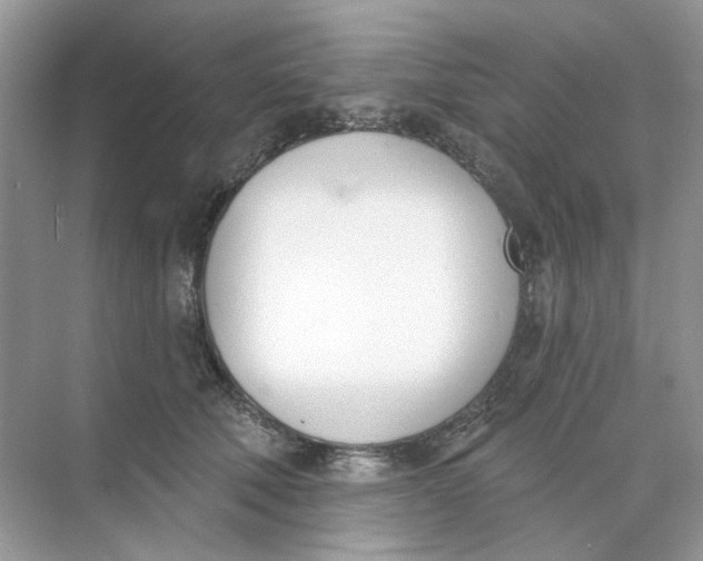 X0000073870610200608312054