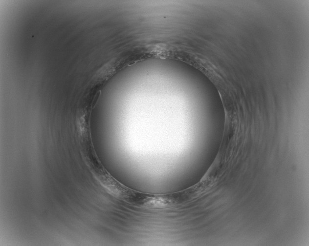 X0000073870611200608312054