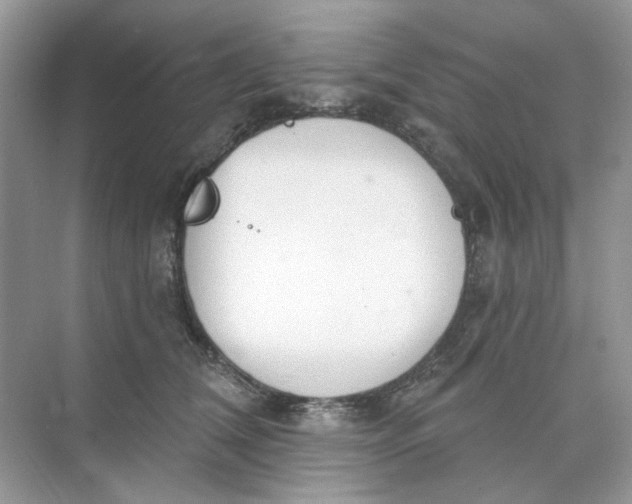 X0000073870612200608312054