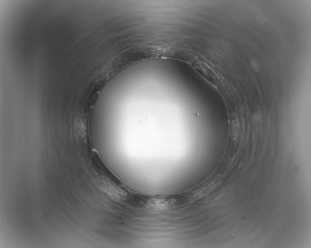 X0000073870613200608312054