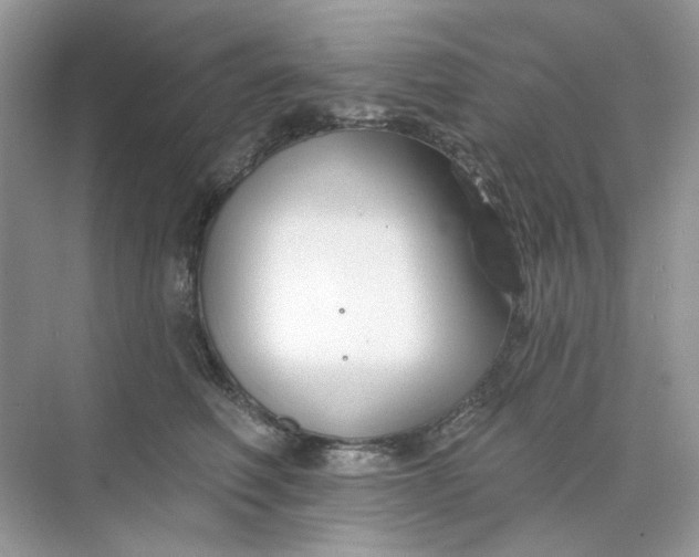 X0000073870614200608312054