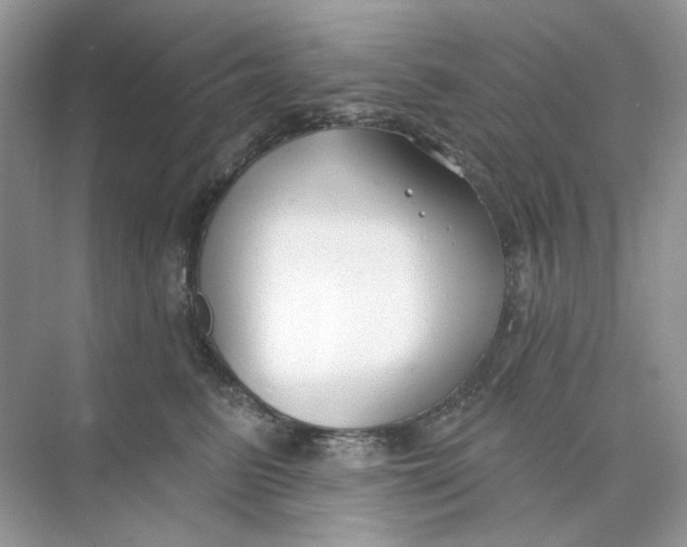 X0000073870615200608312054