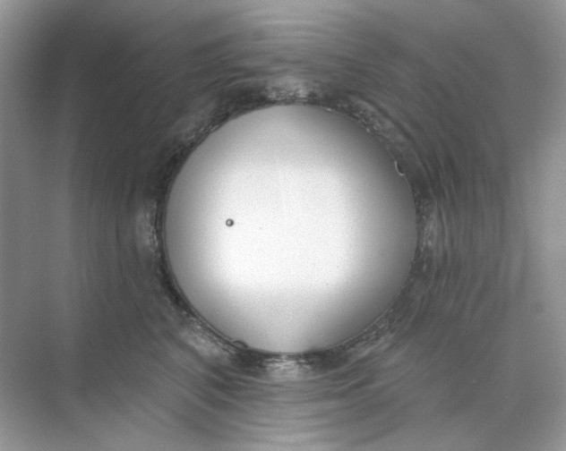 X0000073870616200608312054