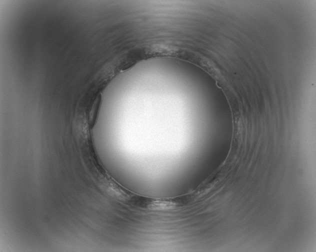 X0000073870617200608312054