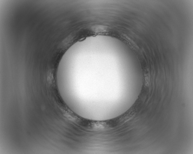 X0000073870618200608312054