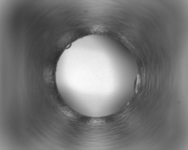 X0000073870619200608312054