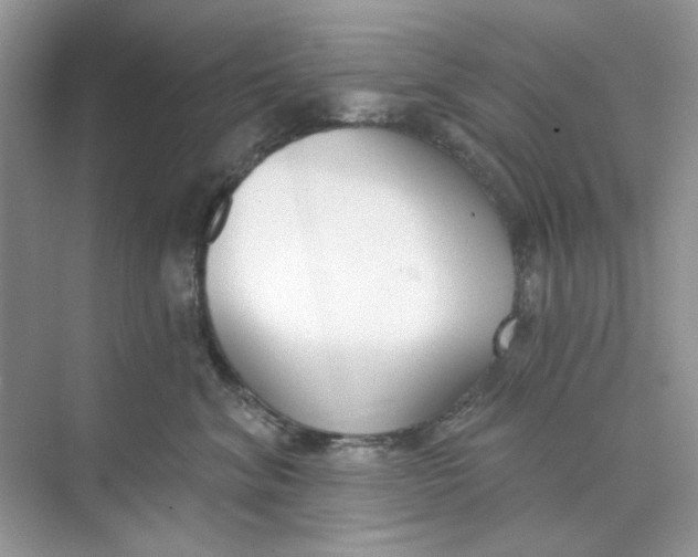 X0000073870620200608312054