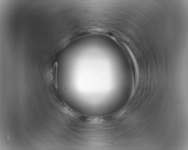 X0000073870621200608312054