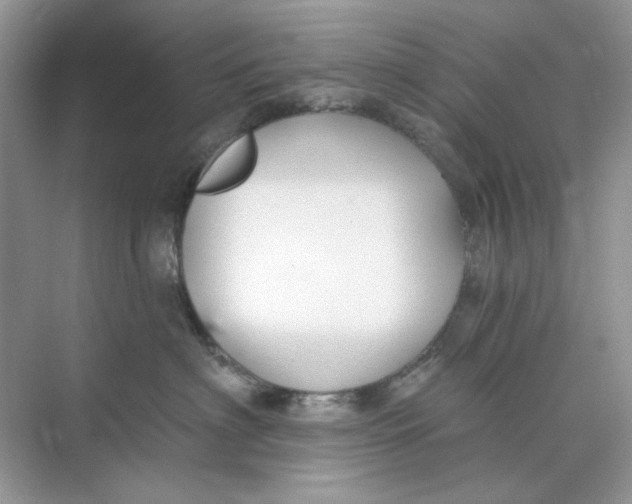 X0000073870622200608312054