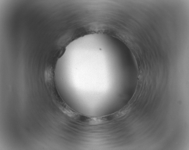 X0000073870623200608312054