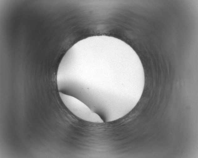 X0000073870624200608312054