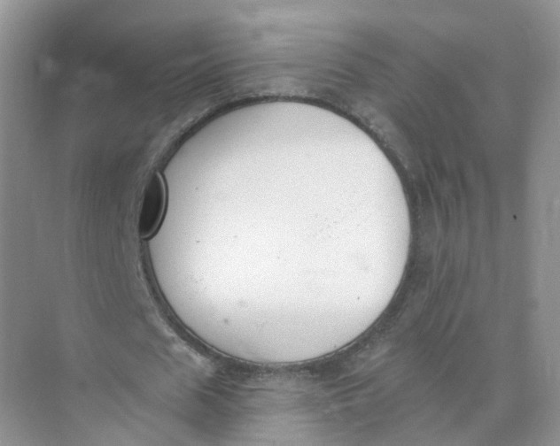 X0000073870625200608312053